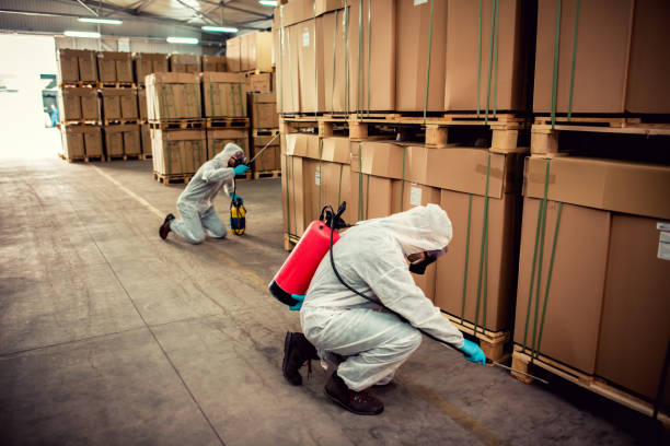 Professional Pest Control in Bloomer, WI