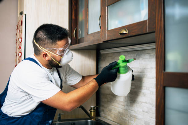 Best Affordable Pest Control Services  in Bloomer, WI