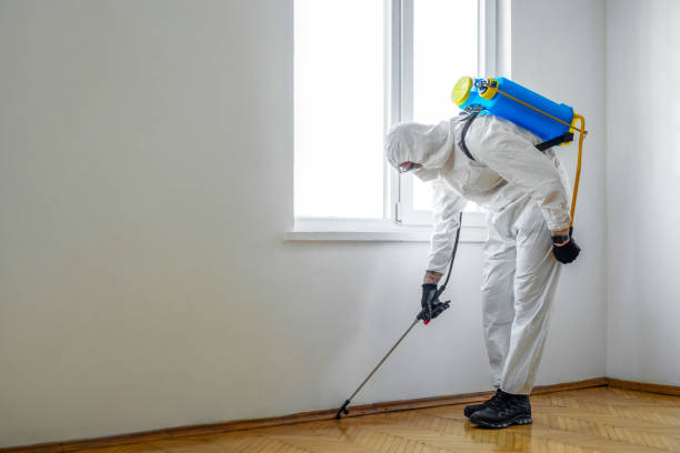 Pest Control Cost in Bloomer, WI